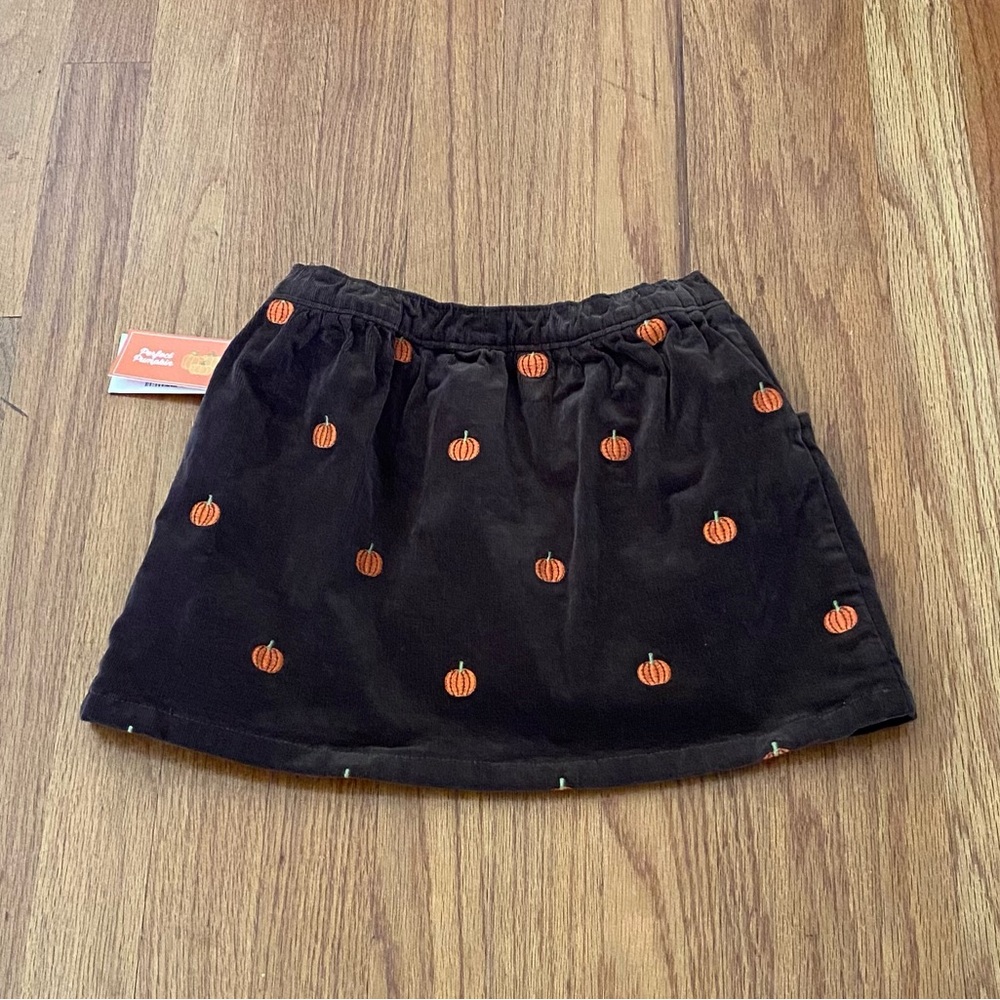 Gymboree Pumpkin Patch Girls Set - Picture 8 of 10